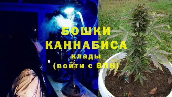 дурь Верхний Тагил