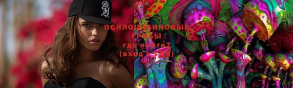 дурь Верхний Тагил