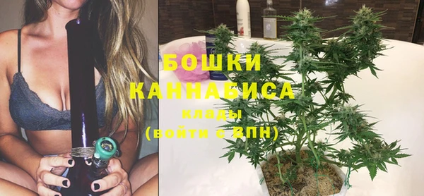 дурь Верхний Тагил
